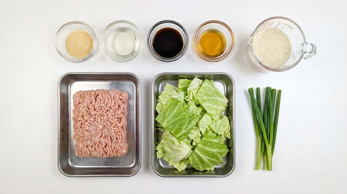 鶏ひき肉とキャベツの鶏ガラスープ炊き込みご飯（材料）